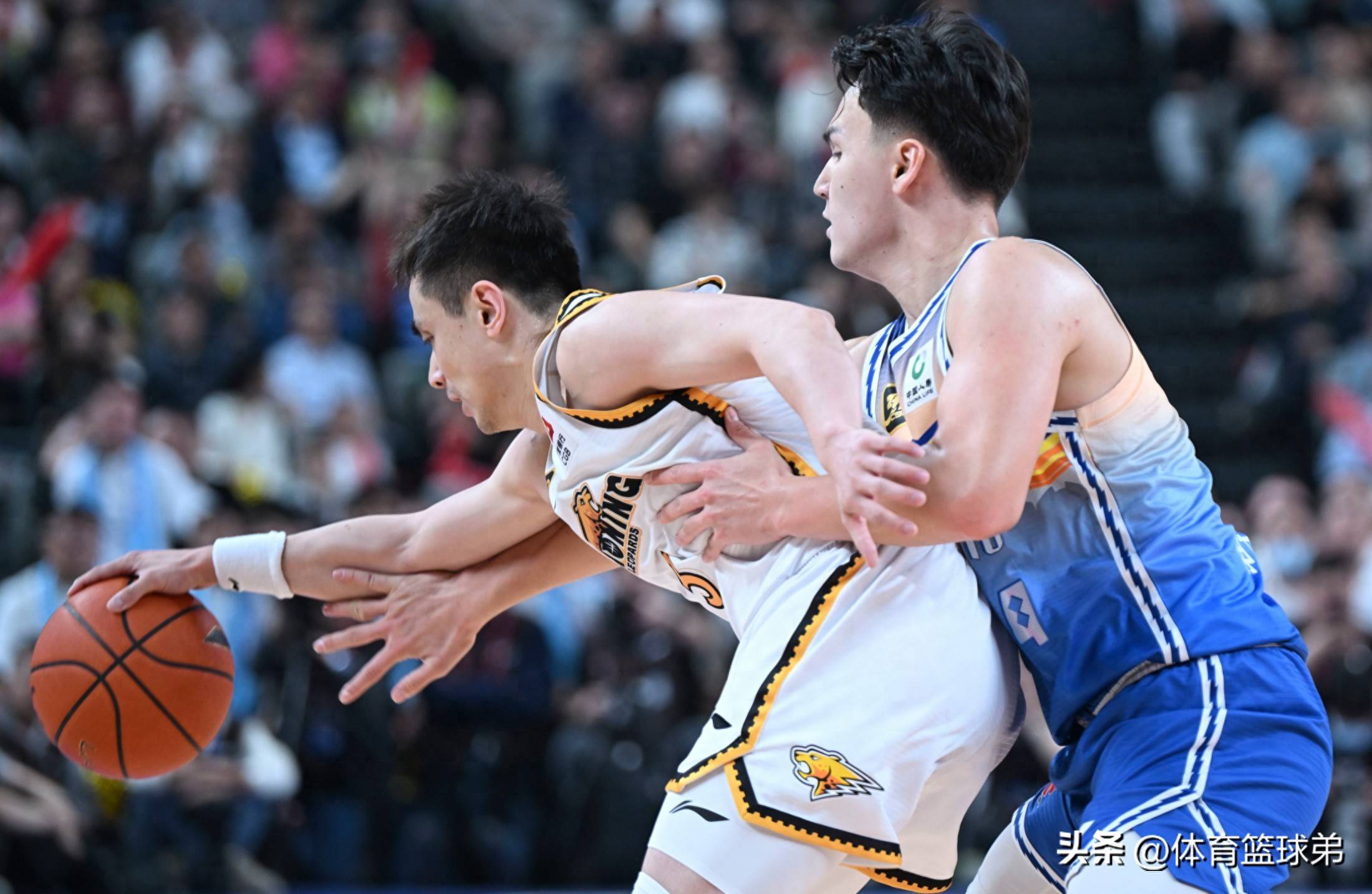 包含新疆队阵容厚度凸显，整体性能出色的词条